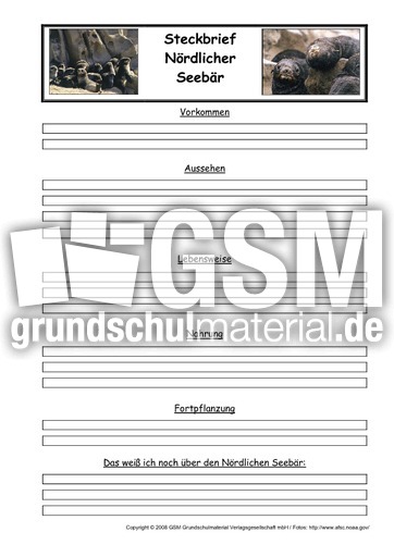 Nördlicher-Seebär-Steckbriefvorlage.pdf